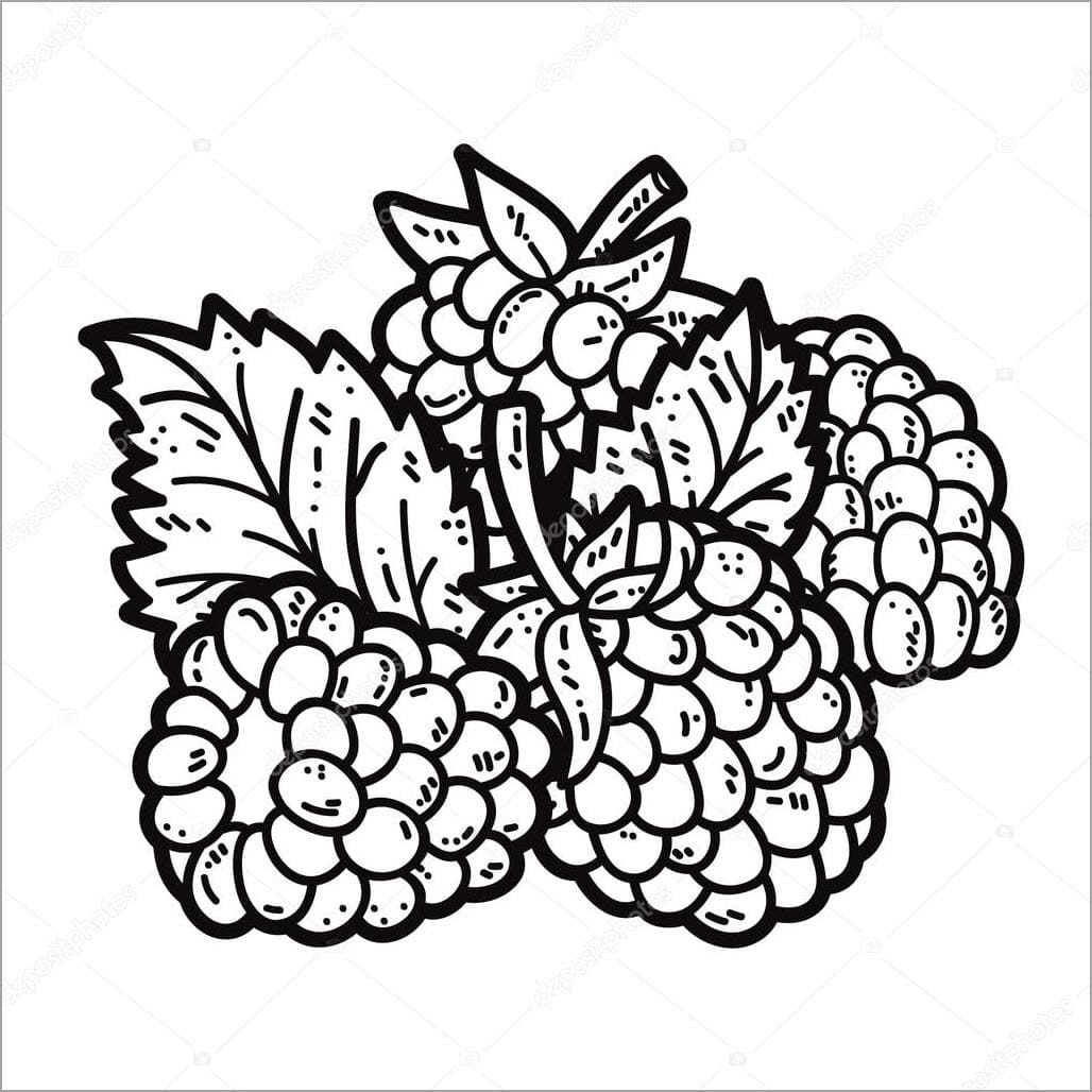 Tranh tô màu trái cây 17