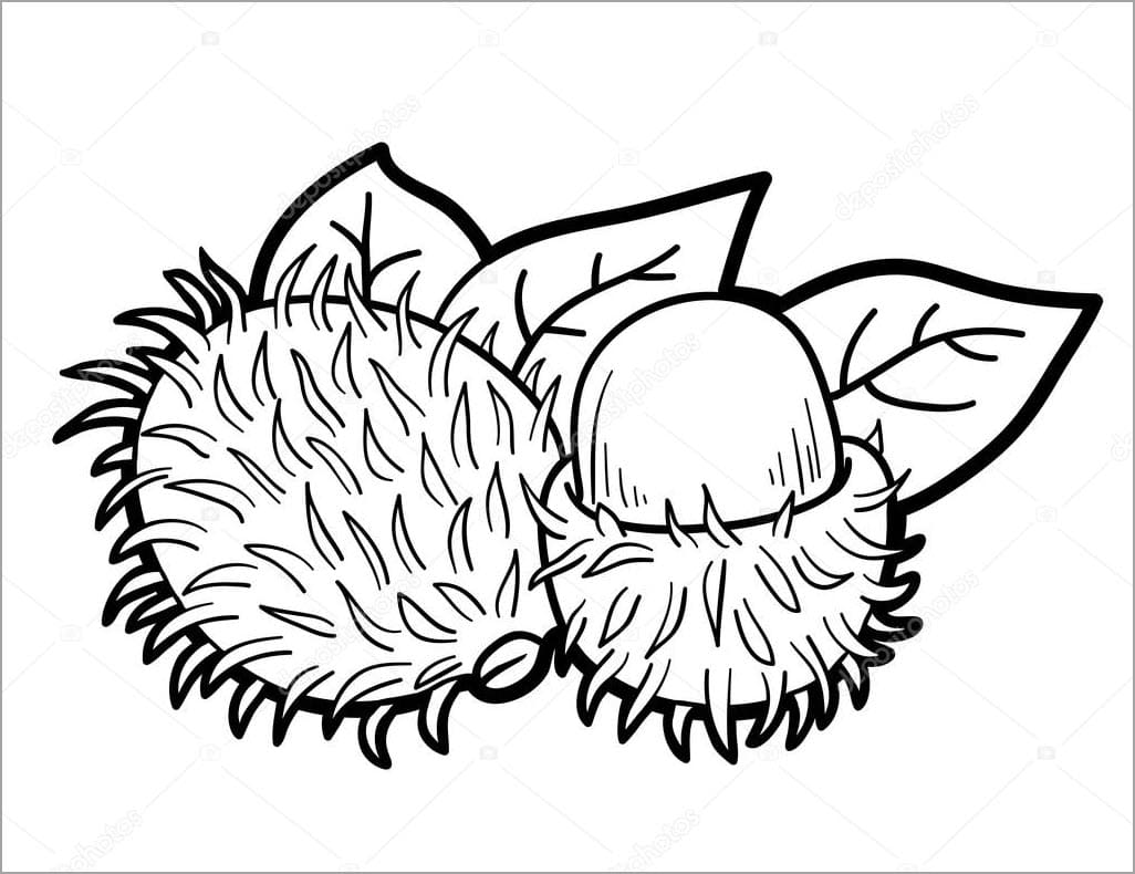 Tranh tô màu trái cây 24