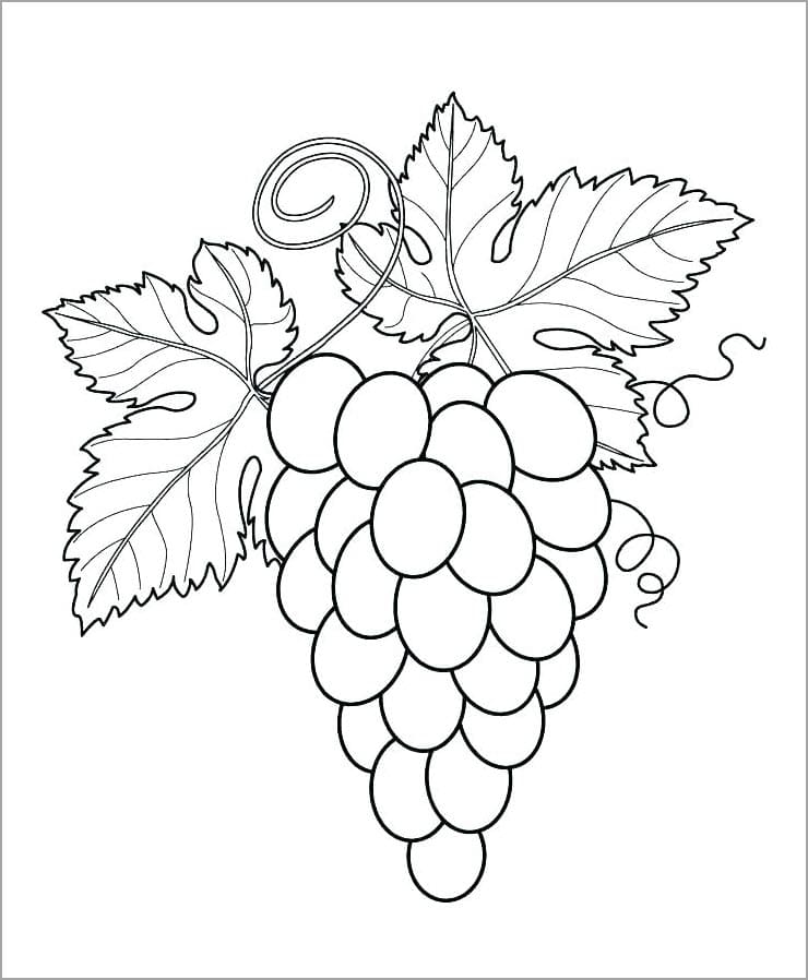 Tranh tô màu trái cây 46