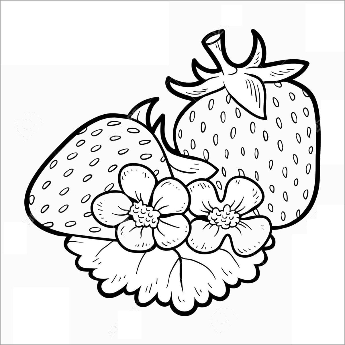 Tranh tô màu trái cây 56