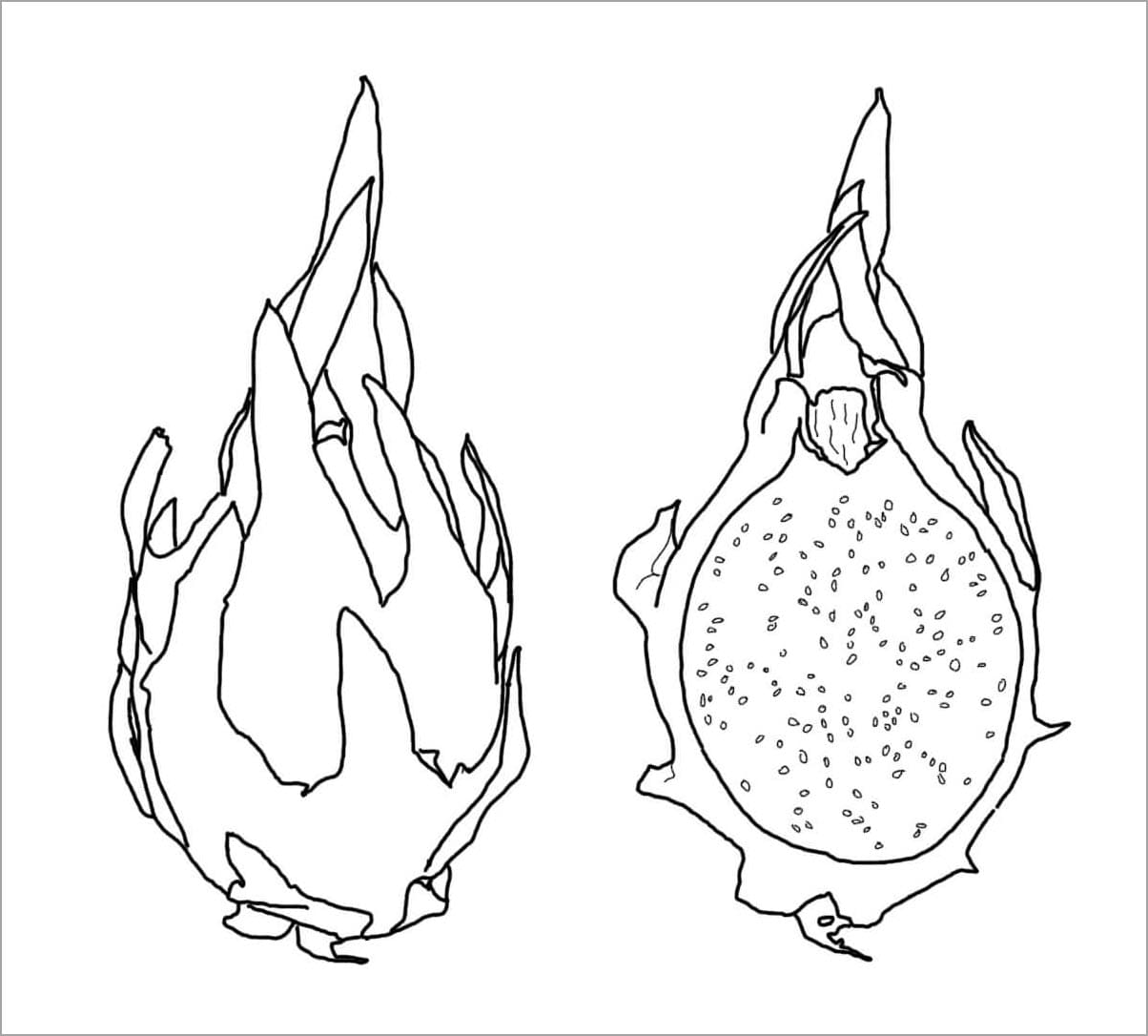 Tranh tô màu trái cây 66